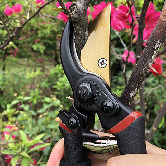 Garden Tool Pruning Shears Wholesale